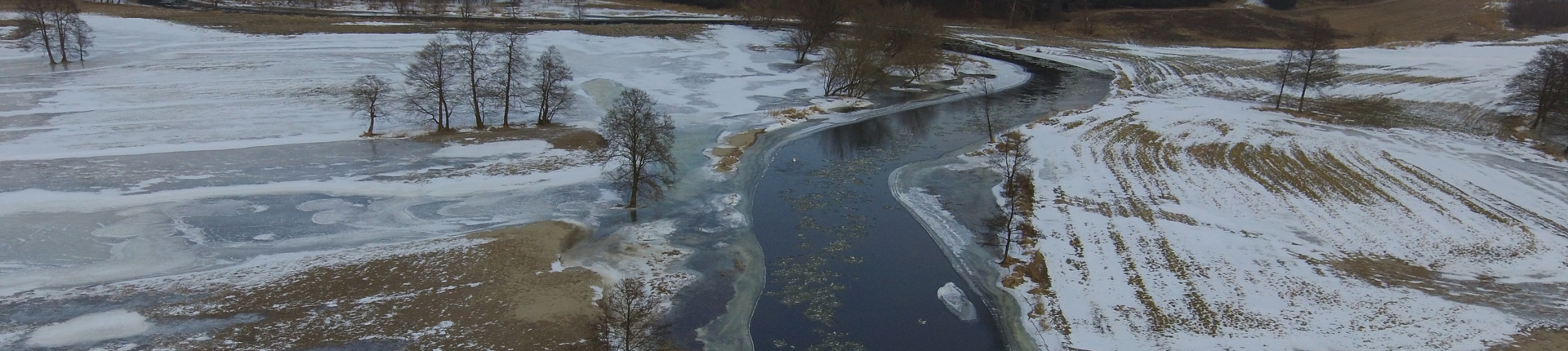 The Drwęca River