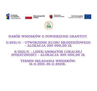Nabór wniosków o powierzenie grantu!